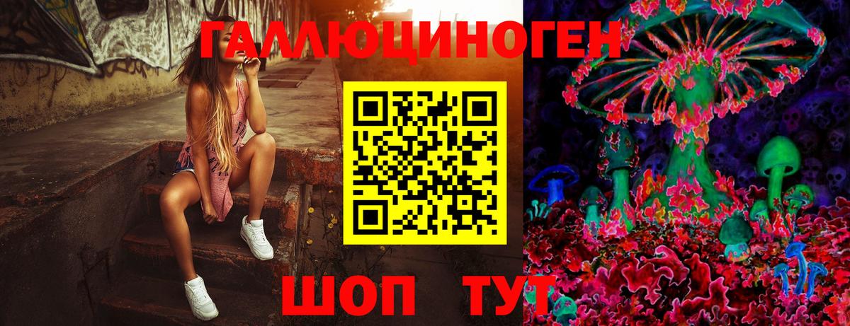 Галлюциногенные грибы MAGIC MUSHROOMS  Вход с VPN  Первоуральск  Псилоцибиновые грибы мицелий 