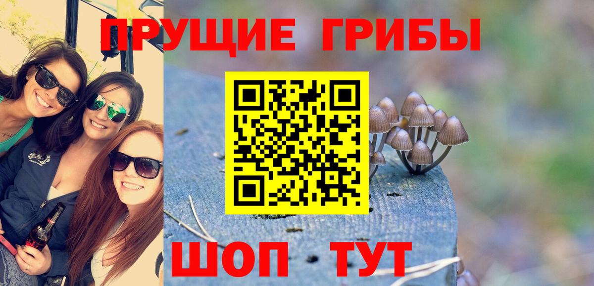 Псилоцибиновые грибы мицелий Первоуральск